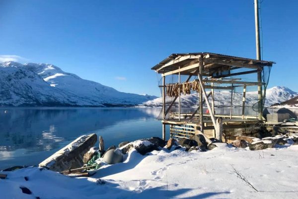 Chandelier Rental in Lapland or the Arctic region
