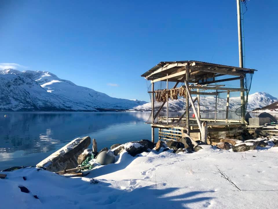 Chandelier Rental in Lapland or the Arctic region